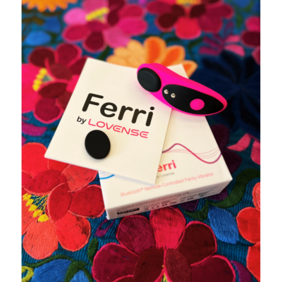 Lovense Ferri Panty vibe
