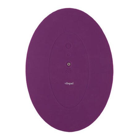 Bottom view of the Vibepad 2, sit on vibrator