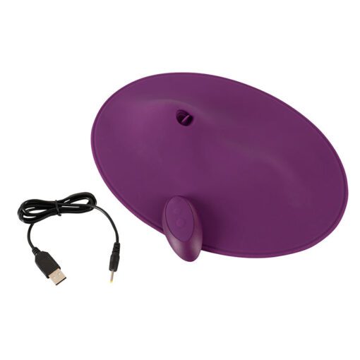 Power cord and remote control for the  Vibepad 2, sit on vibrator