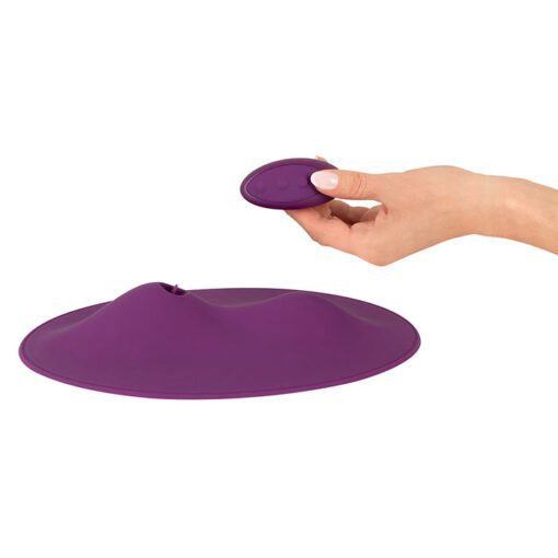 Remote control for the Vibepad 2, sit on vibrator