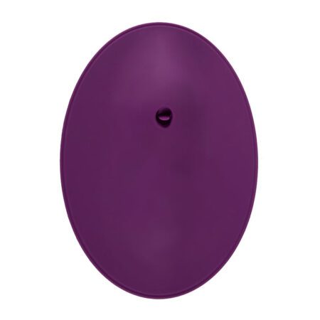 Top view of the Vibepad 2, sit on vibrator