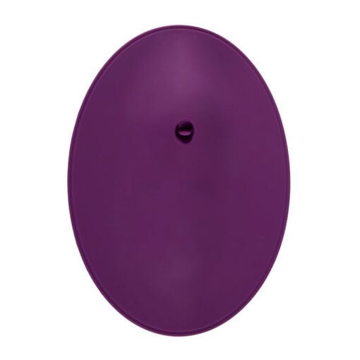 Top view of the Vibepad 2, sit on vibrator